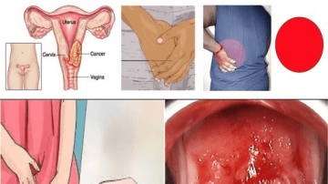 Thyme – The Powerful Healing Herb for Natural Defense!