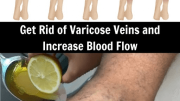 Thyme – The Powerful Healing Herb for Natural Defense!