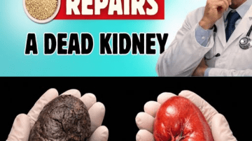 Thyme – The Powerful Healing Herb for Natural Defense!