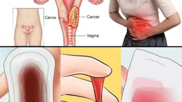 Thyme – The Powerful Healing Herb for Natural Defense!