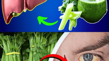 Discover the 9 Early Warning Signs of Cervical Cancer You Might Be Ignoring