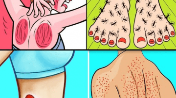 Mix Black Seed Oil and Honey: Nature’s Powerful Daily Ritual You Might Be Missing