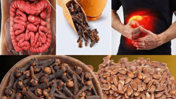 Lemon & Garlic Juice: A Simple Blend That May Support Healthy Arteries