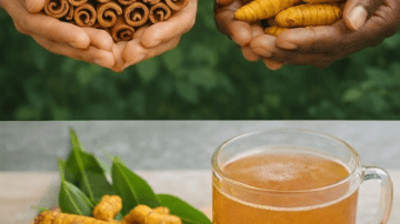 Drink This Every Morning to Gently Boost Your Health: The Warm Clove-Cinnamon-Bay-Ginger Tea