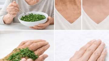 Neem Leaf: Could This Ancient Herb Support Blood Sugar, Blood Pressure, Cholesterol, Pain Relief, and Circulation?