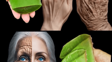 Seniors: The #1 Cancer-Fighting Fruit You’ve Probably Never Even Heard Of | Senior Nutrition