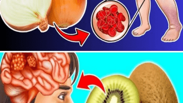 Blueberries and Seniors: 3 Food Pairings to Avoid