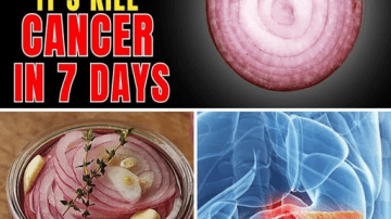 Bay Leaf Tea: Nature’s Boost for Blood Sugar and Heart