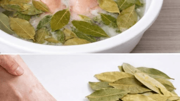 Bay Leaf Tea: Nature’s Boost for Blood Sugar and Heart