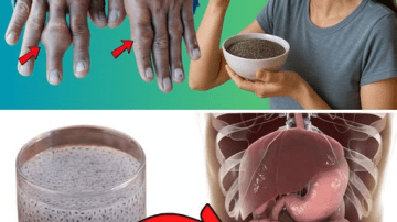 97 Year Old Doctor’s Tip: One Food to Support Knee Cartilage Health