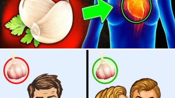 97 Year Old Doctor’s Tip: One Food to Support Knee Cartilage Health