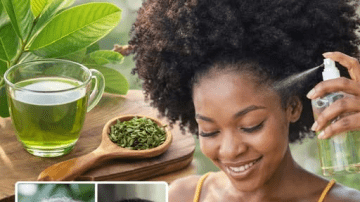 Top 3 Ways to Treat Tooth Decay with Guava Leaves – Simple and Cost-Effective