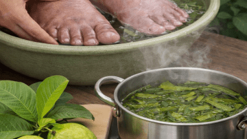 The Most Powerful Herbs to Help Fight Dangerous Blood Clots in the Legs – What Science Suggests About Nature’s Supportive Allies