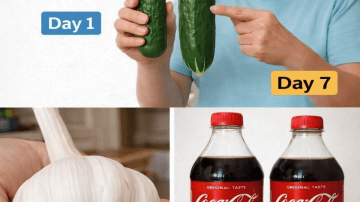 UNBELIEVABLE! These 9 Drinks May Help Fight Cancer & Disease!