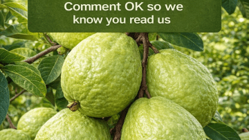 The #1 Vitamin for Supporting Nerve Health and Easing Neuropathy Pain in Hands and Feet