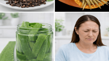 5 Ancient Seeds Buddhist Monks Soak Overnight to Stay Disease-Free Past 100 (And How You Can Start Tonight)